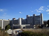 東京工業大学